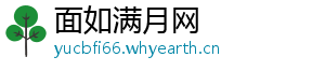 面如满月网